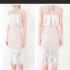 NWT Elliat lace dress006